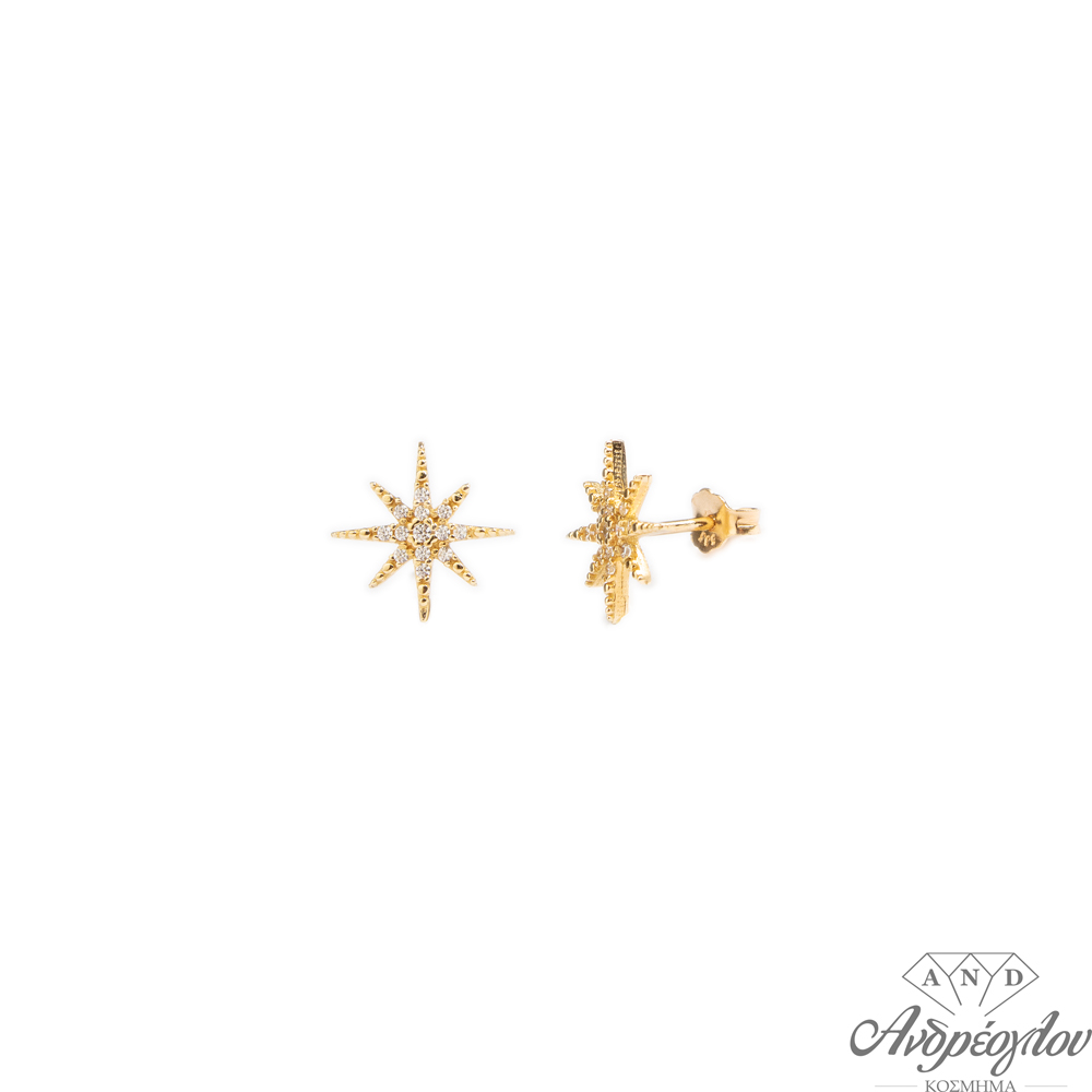 14ct gold earrings.  They have a star design